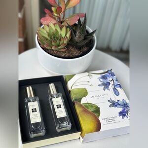 NEW Jo Malone English Pear & Freesia + Wild Bluebell 2x30ml/1oz
